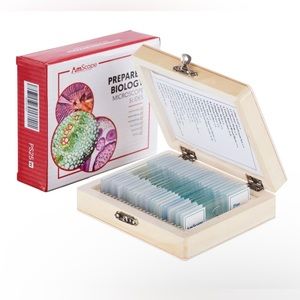 EUC AmScope 25pc Glass Prepared Microscope Slides in Wood Case